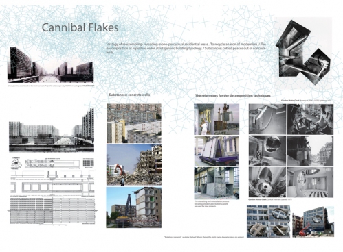 081106_presentation_72_4_ai1