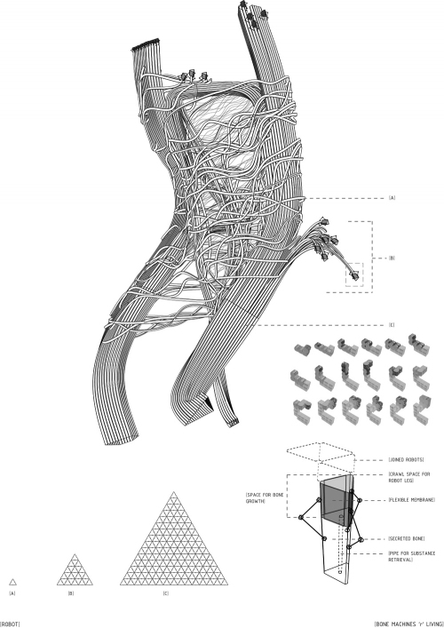 bone_robot